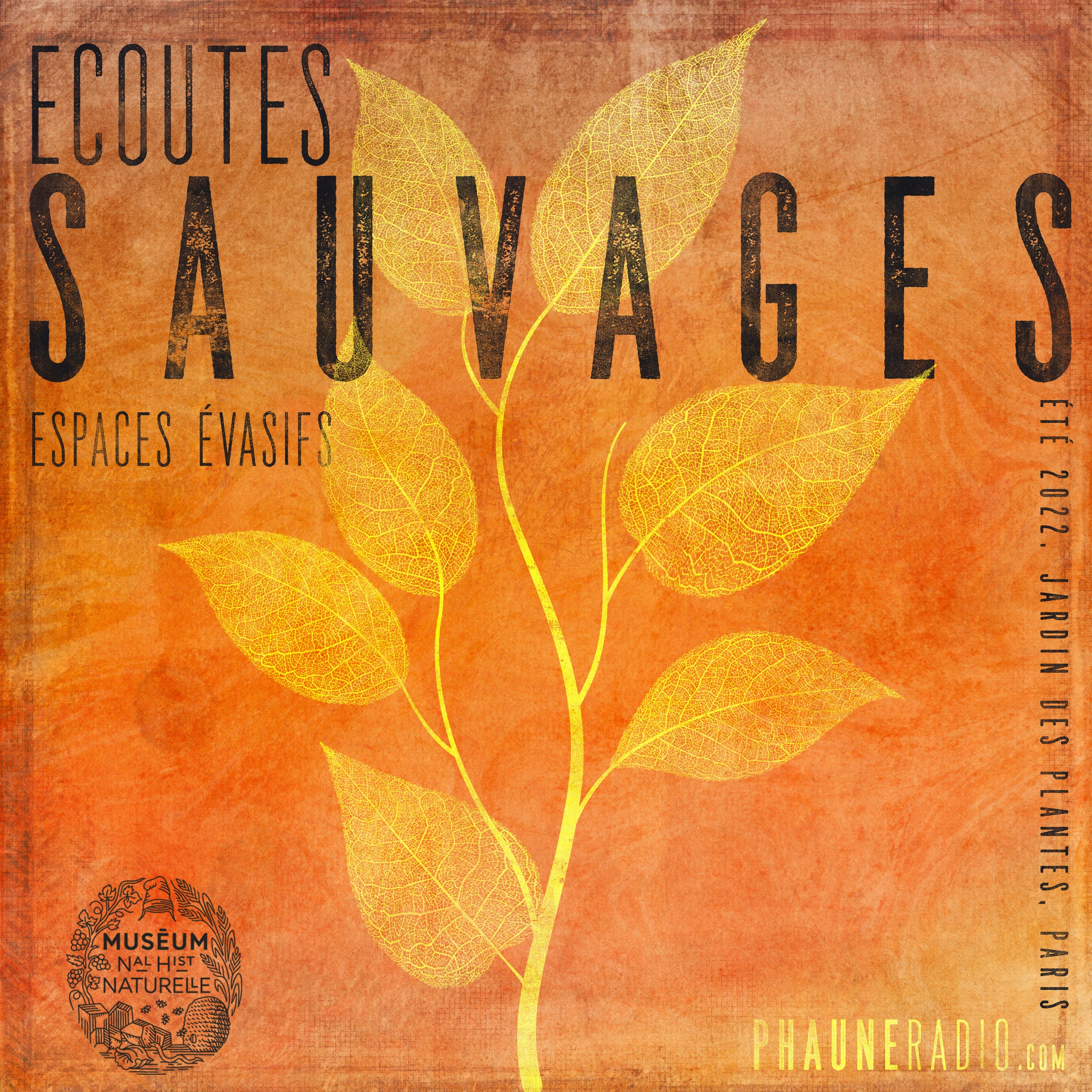 Ecoutes Sauvages - Espaces Evasifs (Jardin des Plantes, Eté 2022) episode artwork