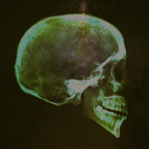 fear is the mind-killer