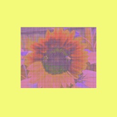 EN EL SOL (FREE DOWNLOAD)