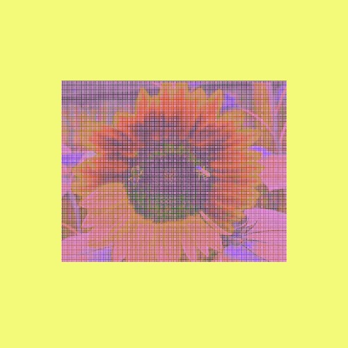 EN EL SOL (FREE DOWNLOAD)