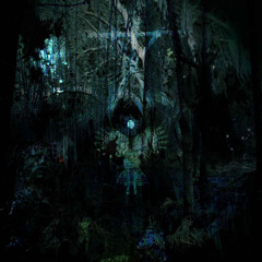 myr manifest