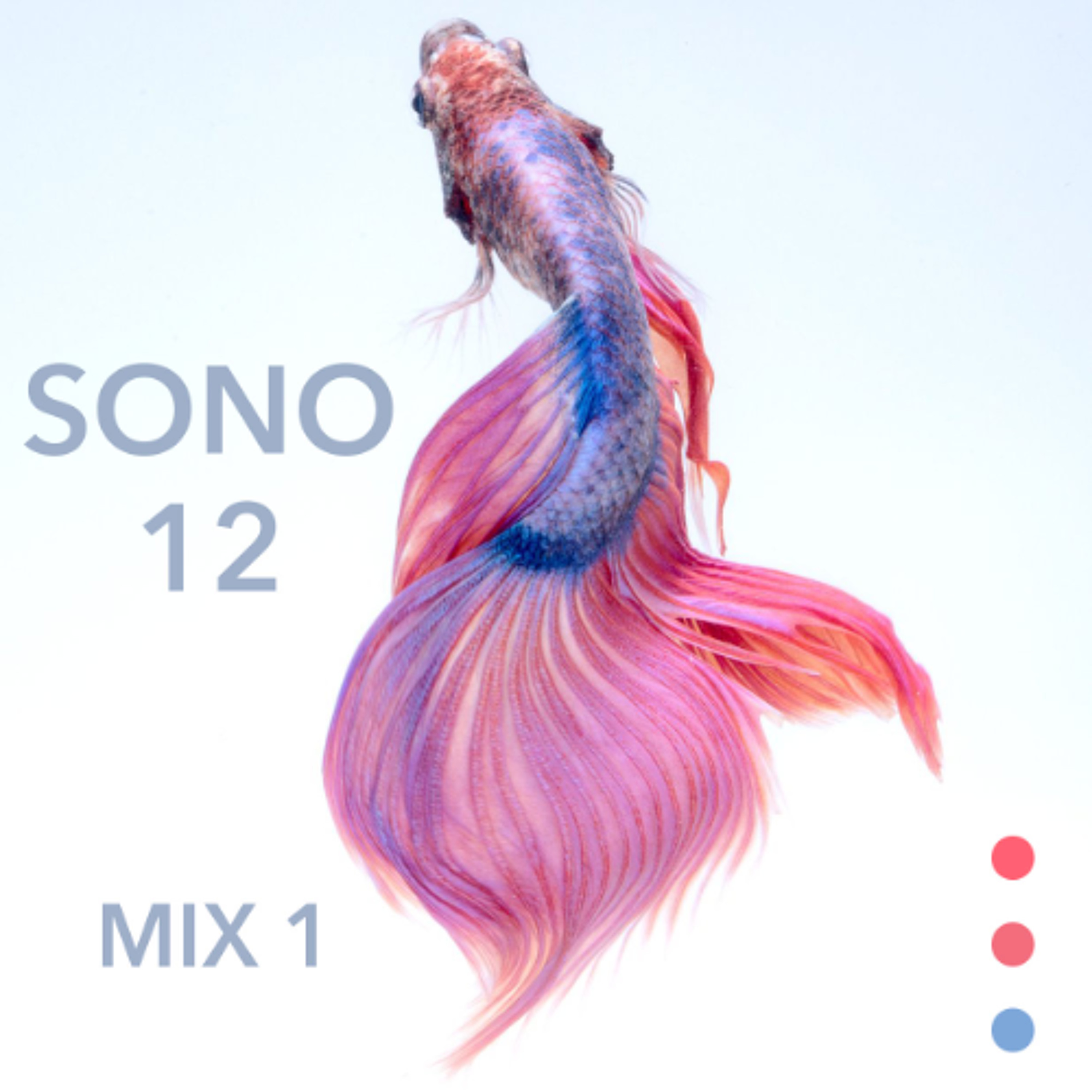 SONO 12 - Part 1