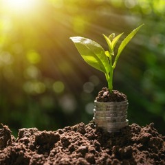 PODCAST: Episode 2 - Local government: Investing in your area by way of loans