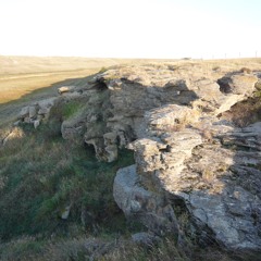 Jump The Buffalo