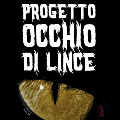 Progetto occhio di lince