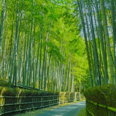 Bamboo Inn (cover)