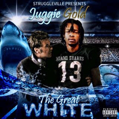 2.Picture Me Rollin(Prod. By Mj Nichols)