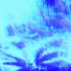 Vanishing Beneath The Glistening Waves