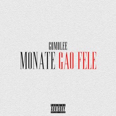 Monate gao fele