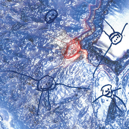 Gëinst - Hiber Trace