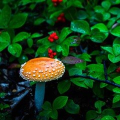 Best of Electronic Discoveries