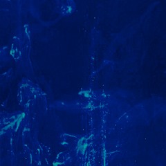 THeir ilLogicaL ErroRs Vol. IV