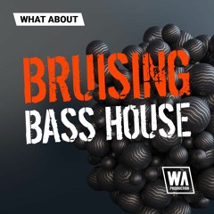W. A. Production - What About Bruising Bass House