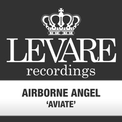 Aviate (Airborne Angel's Brake Force Remix)