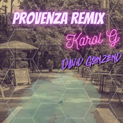 Provenza Remix Karol G (David Gonzend)