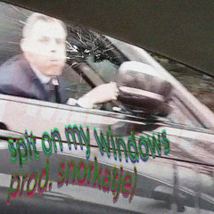 spit on my windows (prod. snorkatje)