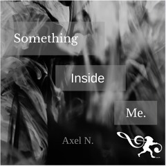 Something Inside Me (Original Mix)