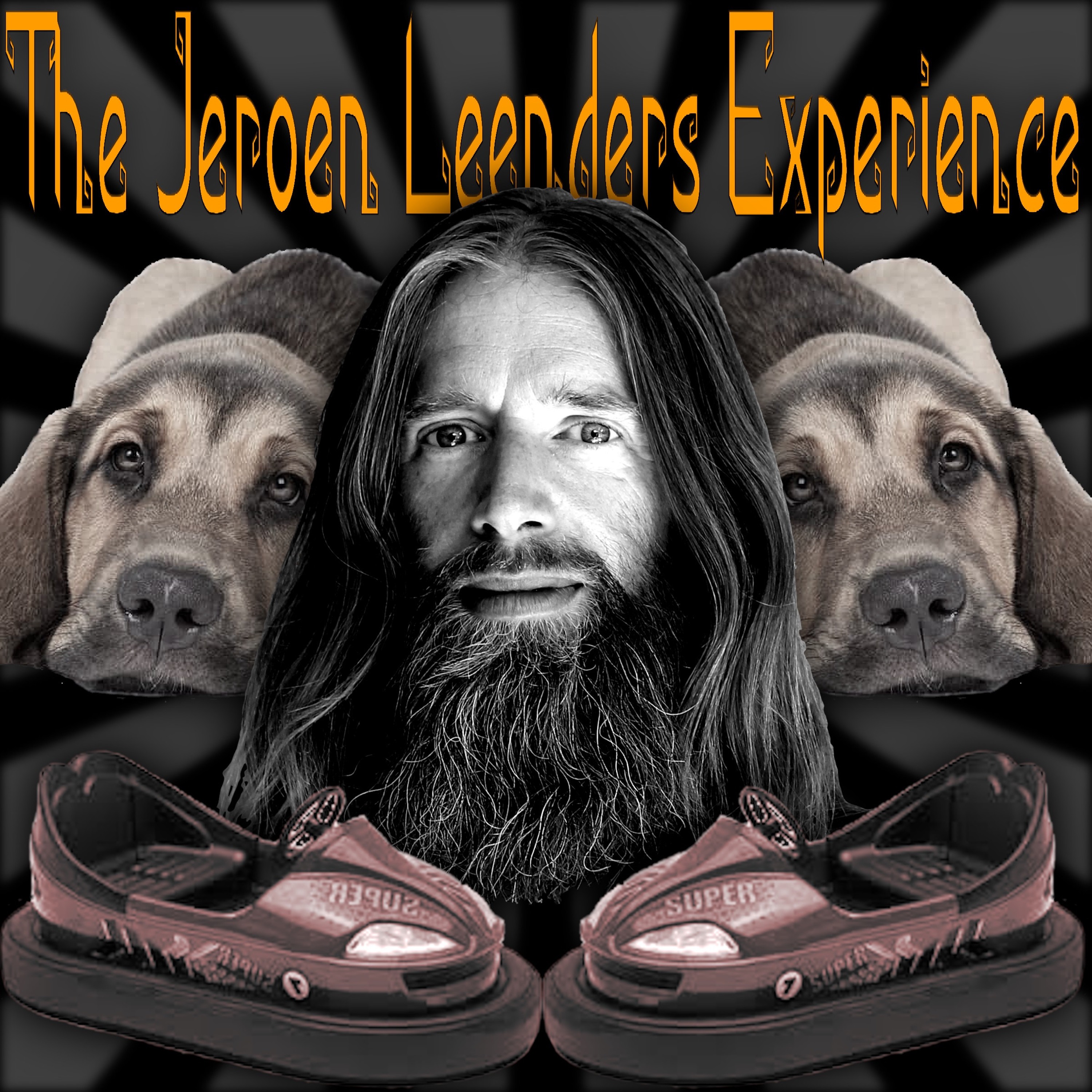 Jeroen Leenders Experience