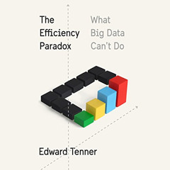 DOWNLOAD PDF ✅ The Efficiency Paradox: What Big Data Can't Do by  Edward Tenner,Jason