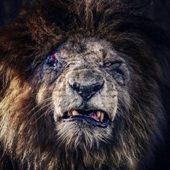 Puurpmane- Holy Prod.Storm