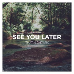 See You Later (That Night Mix)