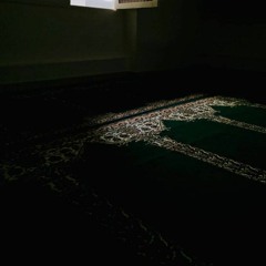 تلاوة من سورة الحديد