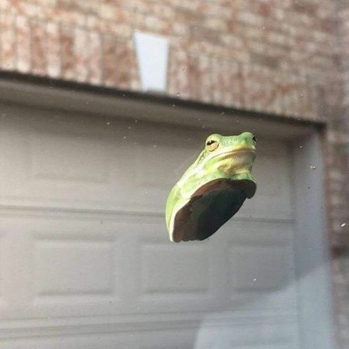 nehovor hop kym nehophop