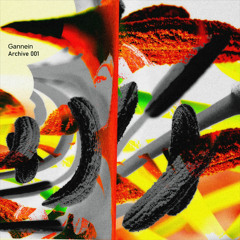 SYN Premiere: Gannein - Ancestral Combination [Archive001]