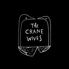 More time - the crane wives (unreleased)