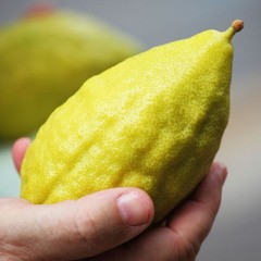 Shake Your Lemon Pt. 1
