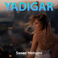Royal Memmedov feat Mehemmed Aydin - Yadigar
