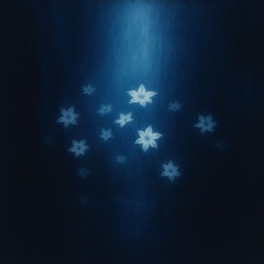 Luminous nights