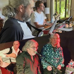 Buena vista polar club - Au revoir mon amour