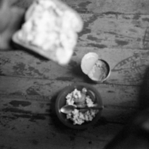 480 miles and other various walks with mitch miller