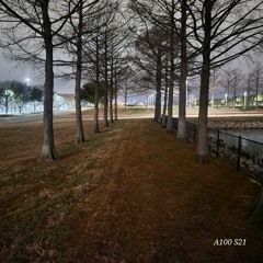 Eight Backs Prod Sinvstyle