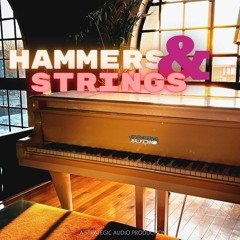 Hammers and Strings Demo