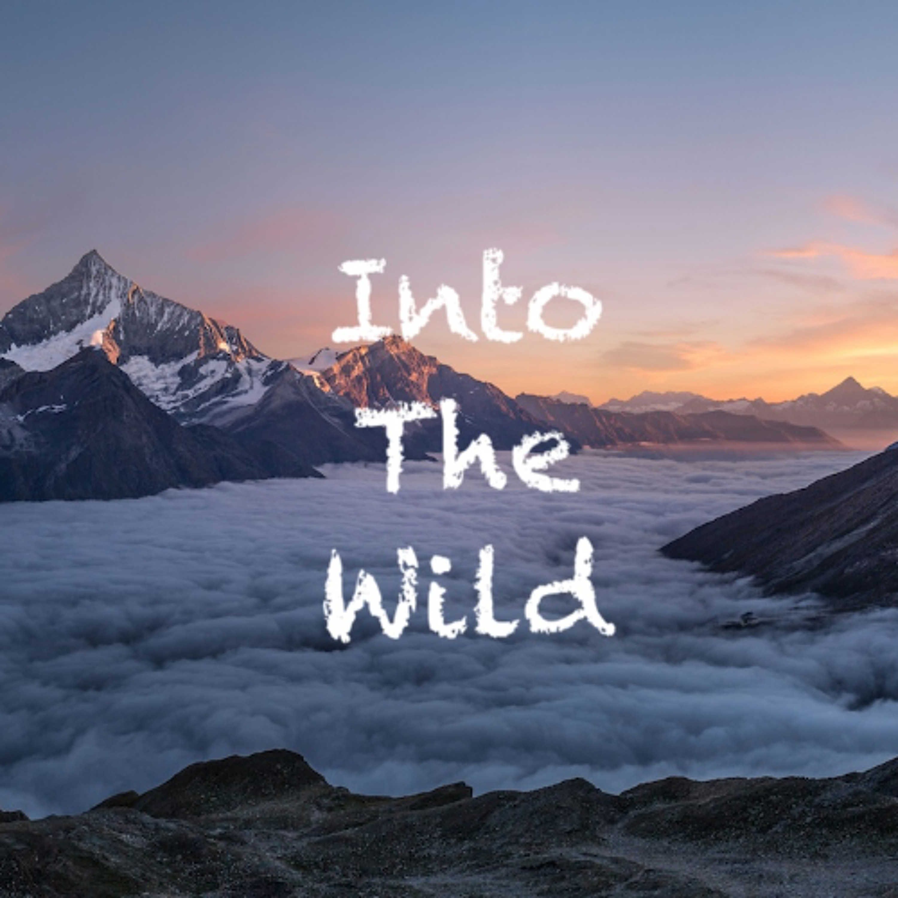Into The Wild episode artwork