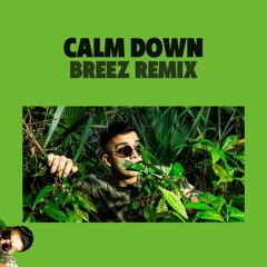 CALM DOWN (BREEZ REMIX)