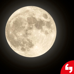 Festivalfilosofia 2024 | psiche