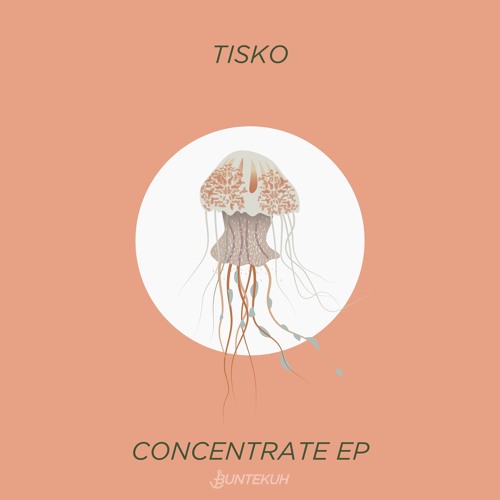 Tisko - Sal Hi Feat Til Von Push (Jan Tenner Remix) (Snippet)