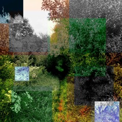 Something More