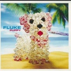 Fluke - Snapshot