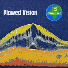 Flawed Vision