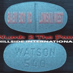 Baby Boy KO ft Lowskii West (Numb 2 The Pain)