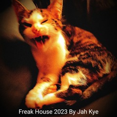 Freak Summer 2023 Mixed By Jah Kye