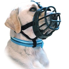 Avril23 - Company (slowed and deep)