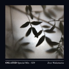 Oslated Special Mix 029 - Zeze Wakamatsu (Live Set)