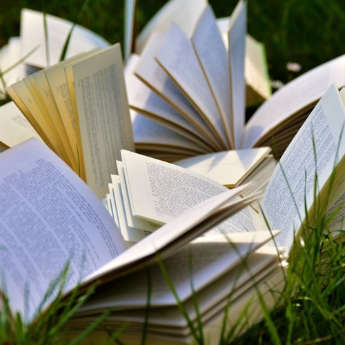 Actualités des livres 2024-10-16 Editions de l'Emmanuel