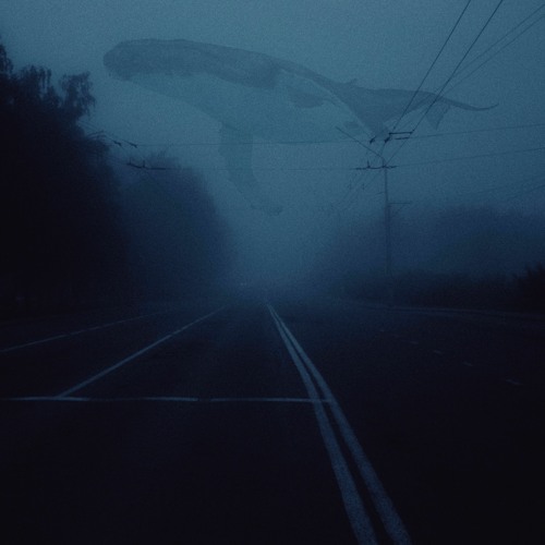 Narvent - Interlinked
