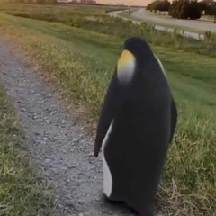 Bones - ArentYouASightForSoreEyes